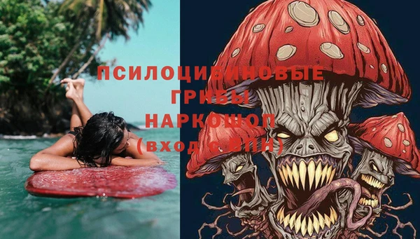 ГАЛЛЮЦИНОГЕННЫЕ ГРИБЫ Алексин