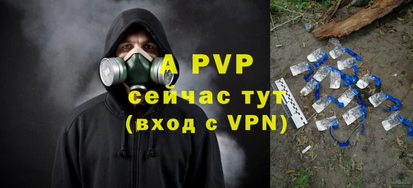 PSILOCYBIN Нефтегорск
