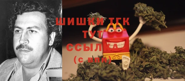 ГАЛЛЮЦИНОГЕННЫЕ ГРИБЫ Алексин